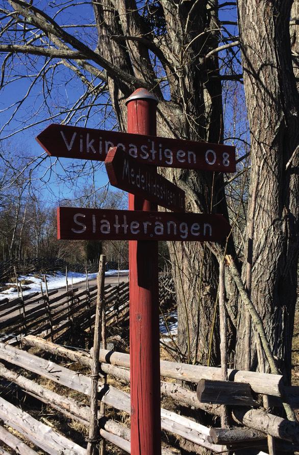 MÖJLIGHETER TILL GENOMFÖRANDE I vilken takt och omfattning som de prioriterade frågorna kan utvecklas beror på flera faktorer: Ramanslagets storlek och stiftelsens ekonomi.