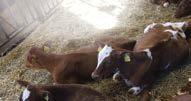 Nu våras det för FOTO: LOTTEN ENGBOM FOTO: KEVIN WEDIN Täby kommun har liksom alla kommuner ansvar för att sina medborgare har någonstans att bo, även de som inte är högavlönade och då måste en