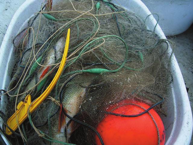 Rapport :1 Nätprovfiske i Västra Götalands län