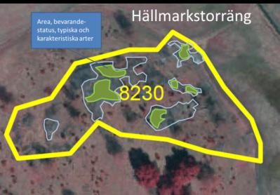 tillförlitlig och stämmer bra med de gränser man kan se i fält, utifrån de avgränsningskriterier vi har valt.
