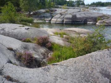 och tunna jordtäcken med pionjärvegetation ska vara dominerande inom ytan, så kommer många mindre förekomster att falla bort helt, vilket i sin tur kan ge en underskattning av arealerna.