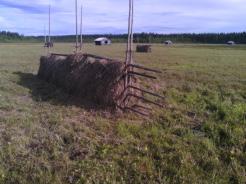 Sedan kanske effekterna blir ganska lika naturliga översvämningar, kanske kraftigare och kanske når de längre ut åt sidorna än vad de gjort naturligt.