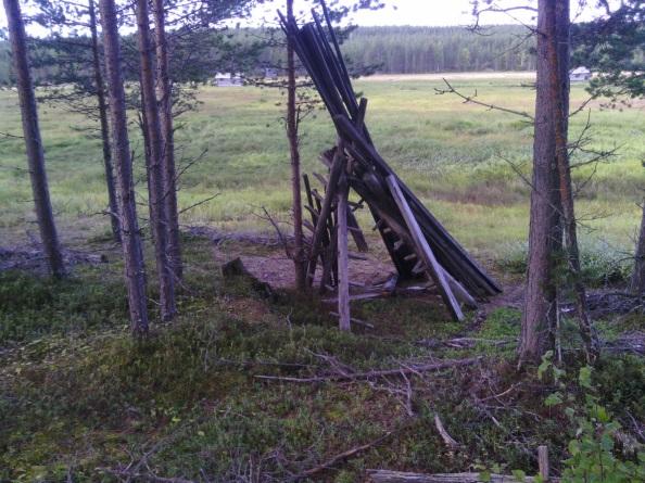 Längs östra sidan av Petikån, upp till Kortudden syns inga spår efter nylig slåtter (Figur 40).