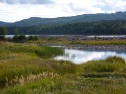 Storforsen, Vidsel Nedanför Storforsen, vid Piteälven i närheten av Vidsel, finns ett stort område med svämängar. Figur 42.