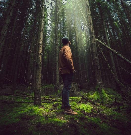 VÄRDEN 18 RESPEKT FÖR NATUREN Är ett hållbart nyttjande av naturens mångfald Stöd för jakt- och naturvården Vi har ett hjärta som slår i takt med naturen.