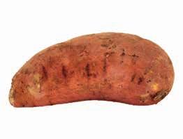 Sötpotatis Spanien,
