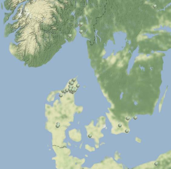 LYCKEBY CONCEPT ODLING #2 2018 11 NY KLON UPPTÄCKT I SVERIGE: Blir potatisbladmöglet mer svårbekämpat?