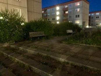 Det bör ske en bedömning av trädets status och vilka åtgärder som kan vidtas. Bedömning inväntas. 3 Lilla parken vid t- baneingång.