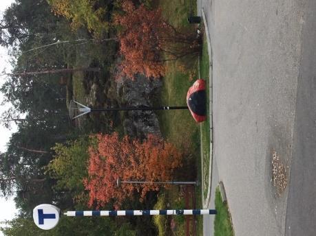 ut sig fritt. Vid parken finns en staty som bör bevaras. Övre t- baneuppgången örvaltningen Lampan lyser inte kvällstid. Felanmälan.