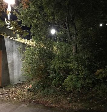 7 Buskage invid gångtunneln under Tomtbergavägen örvaltningen Buskagen bidrar till otrygghet när man går under tunneln eftersom det skymmer sikten.