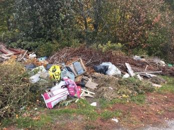14 Samhällsbyggnad sförvaltningen Kärsbyvägen, norr om Tornbergsparken. Nedskräpning Felanmälan. örva ltningen åtgärdar under höst/vinter 2018.