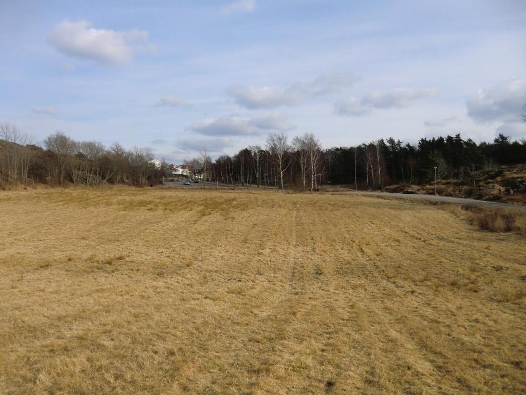 Uppdragsnr: 02 Daterad: -0- Uppdrag På uppdrag av Exark arkitekter har WSP samhällsbyggnad utfört en geoteknisk och bergteknisk utredning inför detaljplan för bostäder på Utsiktsberget i