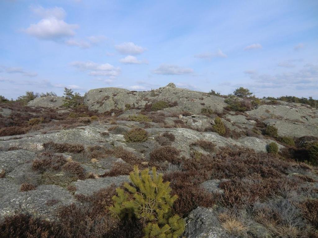 docx Mall: Rapport Advanced.dot ver 1.0 Kort 3 Normalt finns huvudsakligen berg i dagen med mycket begränsade jordlager.