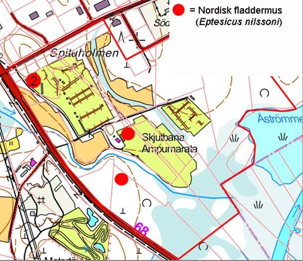 , TN 208-05-24 6:0 / :s bilaga: Bilaga B, TN 24.5.208 7 Fladdermöss Inom detaljplaneområdet förekommer nordisk fladdermus, se bild.