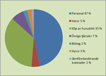 Av kommunens kostnader utgjorde 35 procent, motsvarande 693,4 miljoner kronor, betalning för huvudverksamhet som är utförd i extern regi.