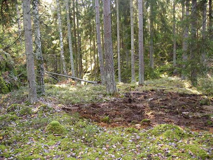 Resultat Vid utredningen registrerades tio boplatslägen, d.v.s. i detta fall platser lämpliga för vistelser i samband med fiske och marin fångst för den sena jägarstenålderns skärgårdsbefolkning.