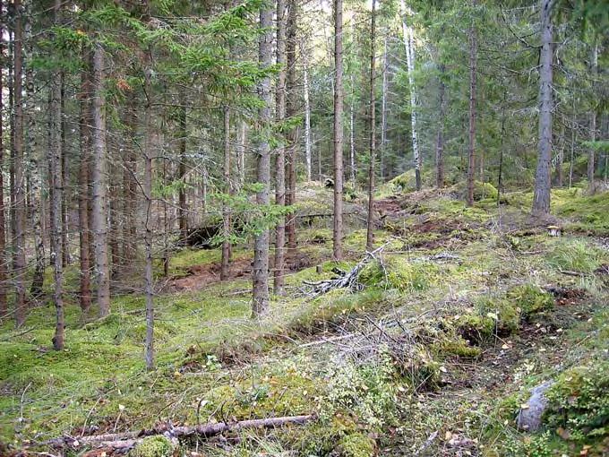 På dessa tre, objekten 4, 8 och 9, påträffades slagen kvarts i koncentrationer.