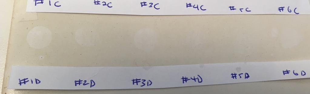 etylenoxid sulfonat #5 2% Nonjonisk C14-APG #6 2% Natrium Dodekyl Sulfat Builder/complexing agent B: 1 wt%
