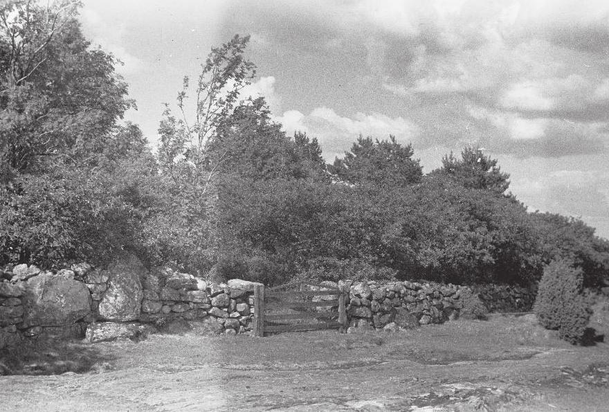 Grovare kyrkoruin Grovare och Fänneslunda nya gemensamma kyrka ifrån 1874 förlades symboliskt nog vid gränsen mellan de båda