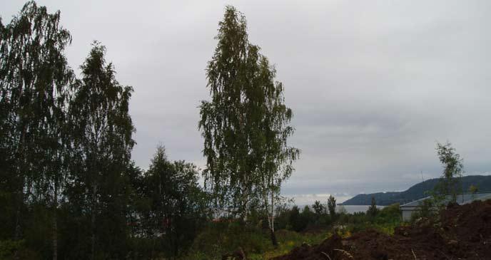 Utökad arkeologisk förundersökning Härdar i Huskvarna Inför exploatering av industritomt inom RAÄ 100 Hakarps