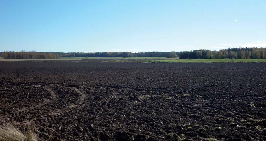 Figur 4.3.5 Landskapet kring Prästgårdsbäcken mot sydost (cirkaa km 7/500). i området. Insådd av ängsflora kan också vara aktuellt på speciellt värdefulla partier.