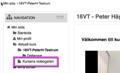 Analyser inom Mymoodle Du kan också se samma typ av statistik för en mediefil inifrån Mymoodle genom att gå till Startsida - My media och klicka på en enskild mediefil i din lista.