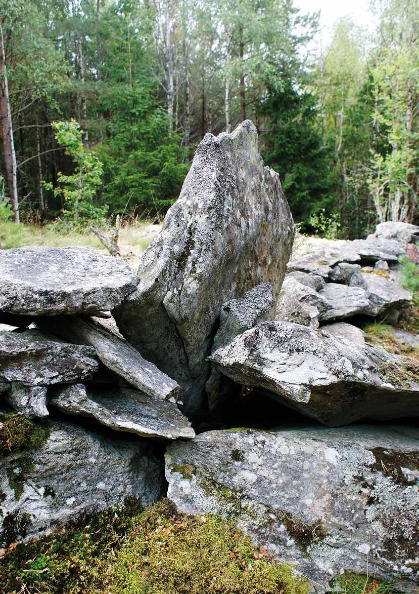 förundersökning RAÄ Forshälla 98:1,