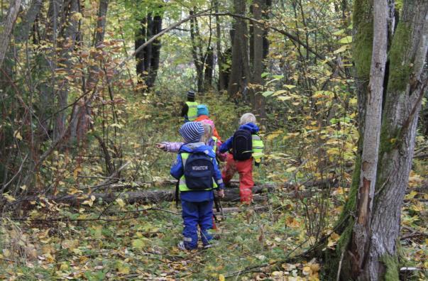 Rutiner när vuxna kränker vuxna Om man känner sig kränkt eller mobbad av sina arbetskamrater, ska man ta kontakt med förskolechefen.