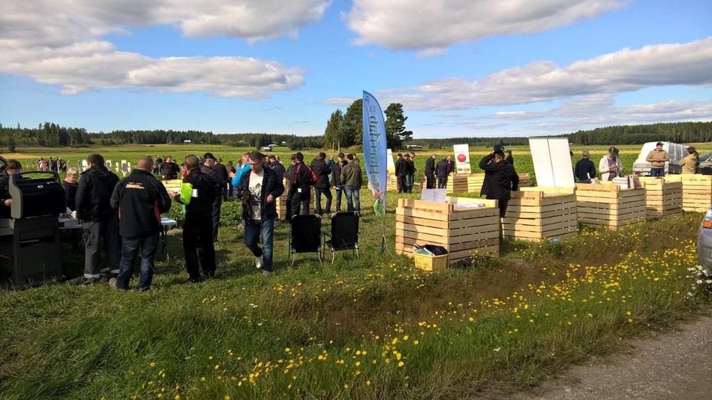 Stefan Nordman Potatis sortförsök Perunan lajikevertailu