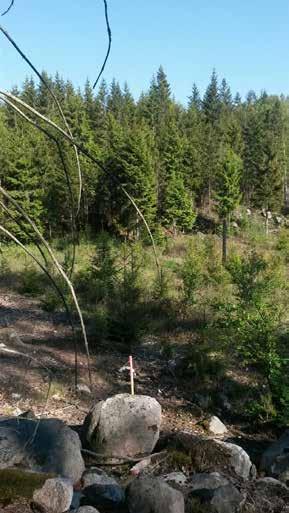 Läshänvisningar I landskapsanalysen är den berörda sträckan indelad i tre delsträckor.