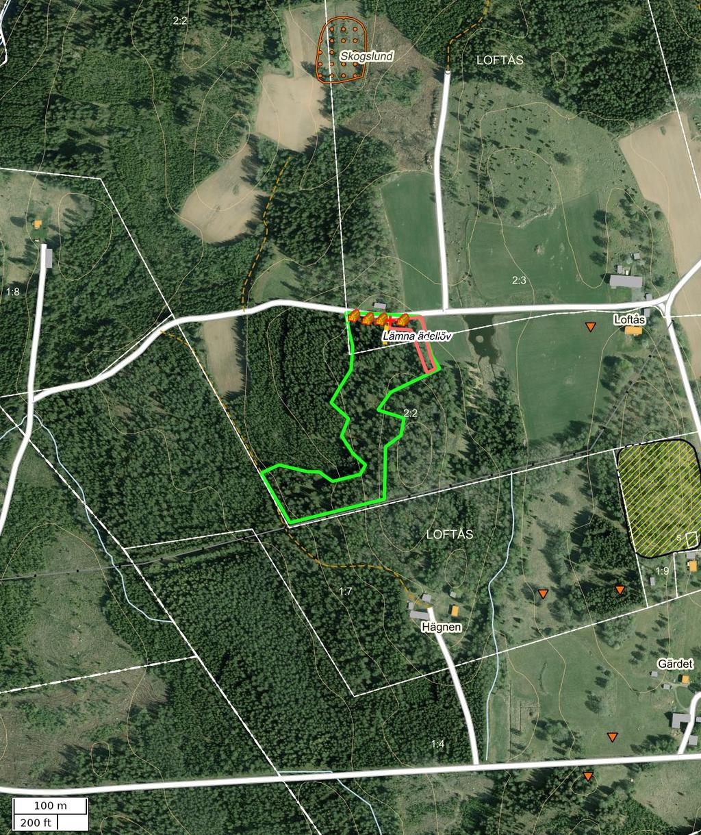 Traktdirektiv 2018-10-09 12:50 LK RP Loftås 2:2 Hushållningssällskapet Skog Detaljkarta Skala: ~1:5000