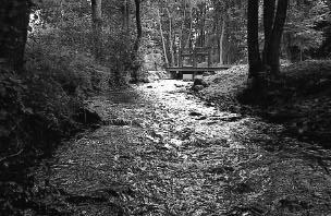 E15. Rönne å, Klövabäcken, Dymöllan 2000-08-21 Lokalkoordinater: 622394-133146 Provyta: 150 m 2 Altitud: 10 m Lokalens längd: 43 m Avfiskad bredd: 3.5 m Medeldjup: 0.25 m Maxdjup: 0.