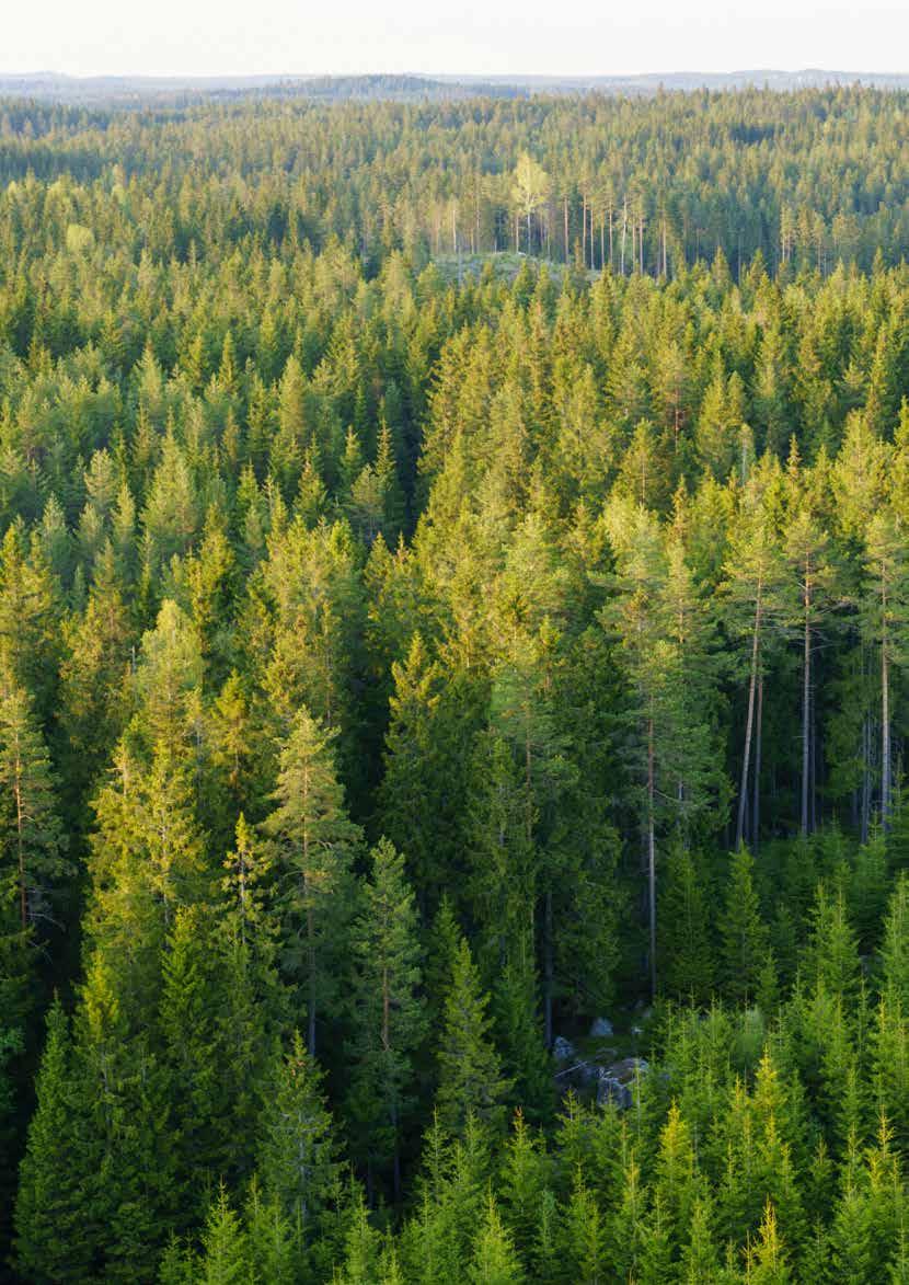 2 SÖDRA