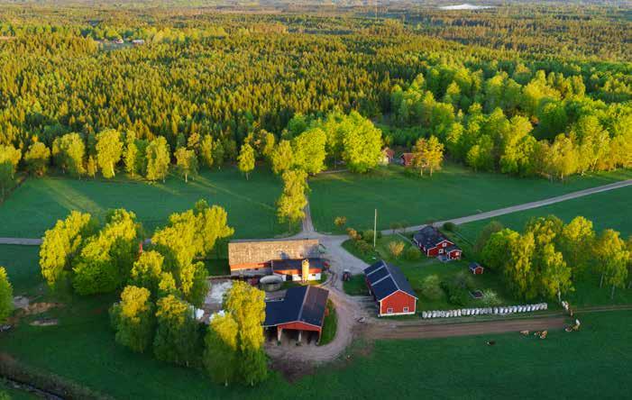 Certifiering för ett ansvarsfullt skogsbruk Södra erbjuder certifiering enligt världens två största skogscertifieringssystem, FSC och PEFC Den här broschyren presenterar vad det innebär att vara