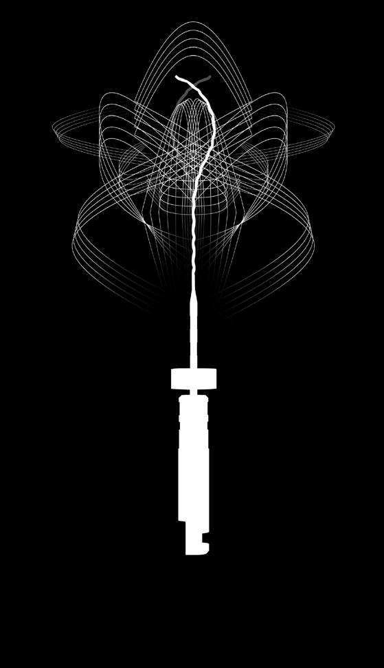 3D agility_ The One to Shape your Success 3D anatomical root canal preparation Exclusive Adaptive