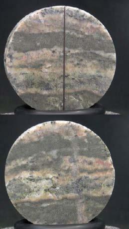 Specimen ID: