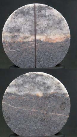 Specimen ID: