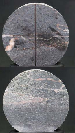 Specimen ID:
