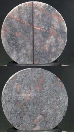 Specimen ID: