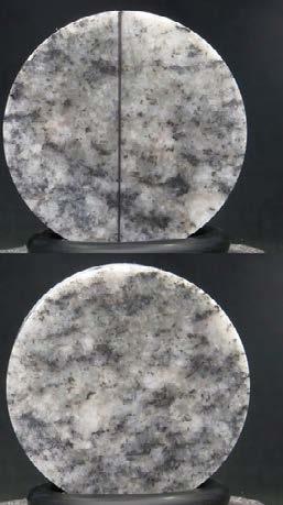 Specimen ID: