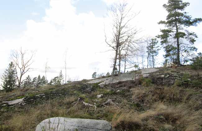 Figur 3. Bergsmarkerna hade endast ett tunt täcke av jord.