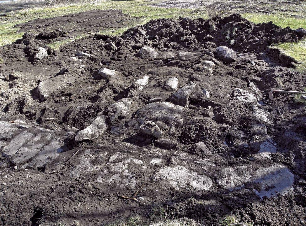 troligen de mesolitiska flintorna förts till platsen genom den postglaciala regressionen alternativt legat i strandkantsnivå.