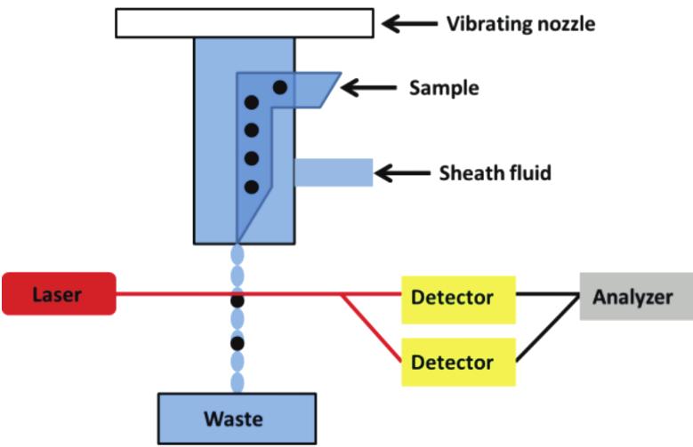 Platelet activation and aggregation: Clinical and experimental studies Figure 11. A flow cytometer (left) and the principle of flow cytometry (right).