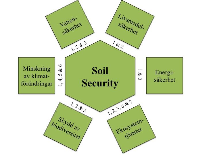 2.4. Soil Security-konceptet En väl fungerande jordresurs är viktig eftersom den kan påverka flera globala samhällsutmaningar; som livsmedel-, vatten- och energisäkerhet samt minskning av