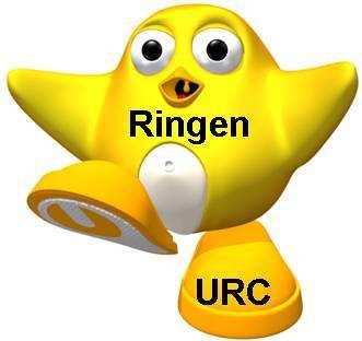 www.rsvv.