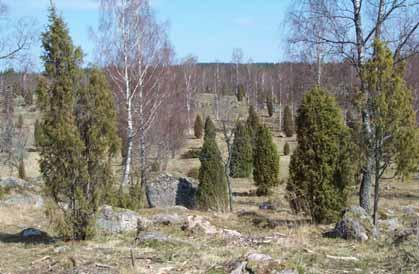Stämma naturreservat Betesmarken i, april 2005.