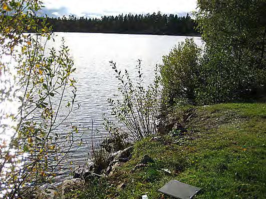 Bottenfauna i Kalmar län 28 14 Vattensystem: Vattendrag/namn: Provpunktsbeteckning: ALSTERÅN Stora Sinnern, Oxnabben BF37 Provdatum: 28-1-2 Koordinater x: 63397 y: 151253 Kommun: Högsby Lokaltyp: Sjö