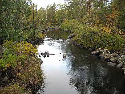 Bottenfauna i Kalmar län 28 2 Vattensystem: Vattendrag/namn: Provpunktsbeteckning: HAGBYÅN Hagbyån, Runtorp BF66 Provdatum: Lokaltyp: Å 28-1-2 Naturligt/grävt: naturligt Lokal lämplig för