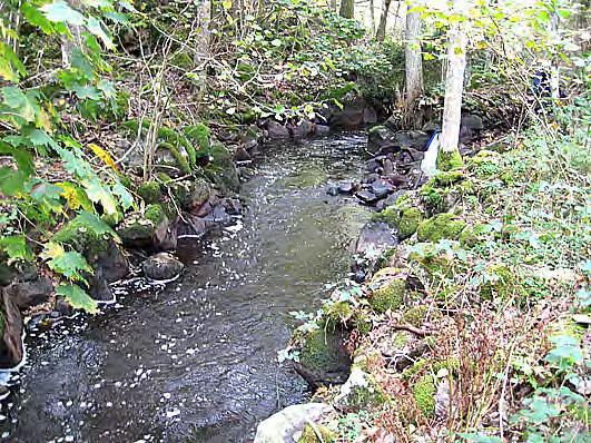 Bottenfauna i Kalmar län 28 22 Vattensystem: Vattendrag/namn: Provpunktsbeteckning: HALLTORPSÅN Åleboån, Karlslunda BF54 Provdatum: Lokaltyp: Å 28-1-2 Naturligt/grävt: naturligt Lokal lämplig för