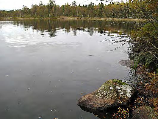 Bottenfauna i Kalmar län 28 26 Vattensystem: Vattendrag/namn: Provpunktsbeteckning: LYCKEBYÅN Skärsjön BF68 Provdatum: 28-1-1 Koordinater x: 6281168 y: 149235 Kommun: Emmaboda Lokaltyp: Sjö